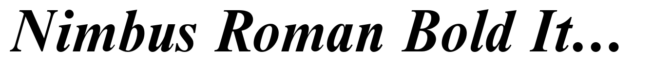 Nimbus Roman Bold Italic (D)